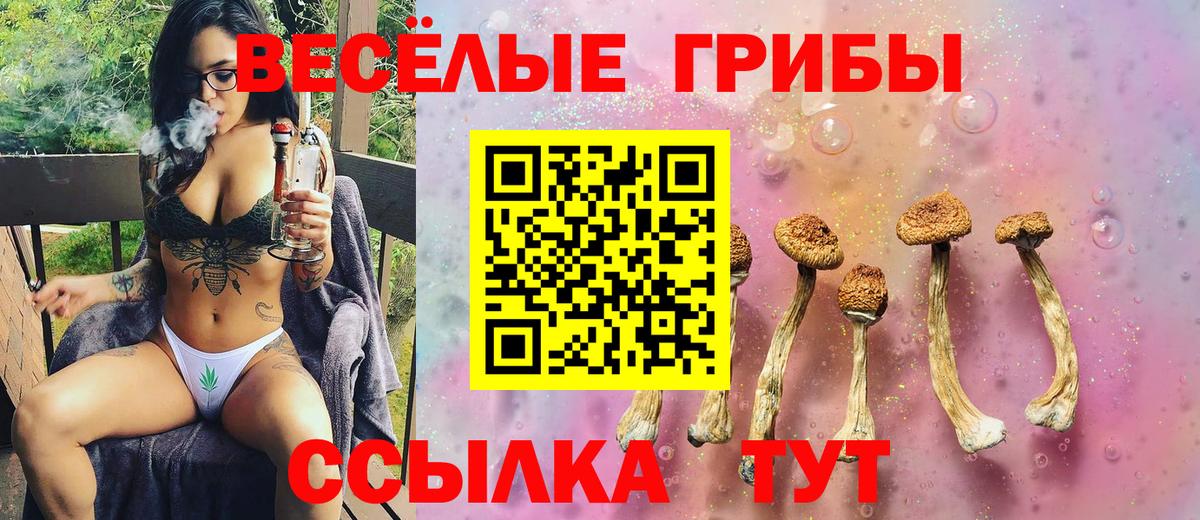 Галлюциногенные грибы Psilocybe Сибай